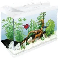Tetra Aquarium Tetra Aquarium Starter Line LED 80 L weiß