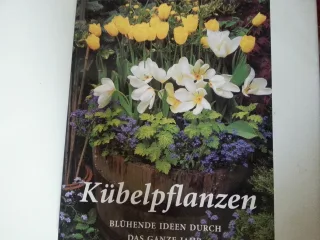 Kübelpflanzen. Blühende Ideen durch das ganze Jahr