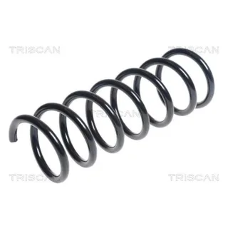 Triscan Feder hinten Volvo S40 V50 1,6