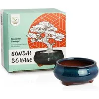 HappySeed Pflanzschale Bonsai Schale aus Keramik in Marineblau - 9,5 x 4,5 x 9,5 cm (klein)