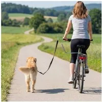 PawHut Fahrradleine mit Stoßdämpfern, verstellbarem Gurt, abnehmbarem Schnellverschluss, Edelstahl, Nylon (Hundefahrradleine, 1-tlg., Fahrrad Hundeleine), für Training, Joggen, Radfahren, Silber+Schwarz