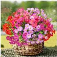 Kunstblumenstrauß 8er Set bunte künstliche Morgengloriablumen für Balkon & Deko, FOUORTUNATE-BEE, Farbenfrohe künstliche Blumen für Innen- und Außenbereich, 8 Stück