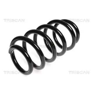 Triscan Feder vorne Fiat Ducato 250 875015205
