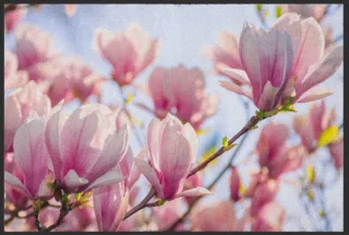 Fussmatte Magnolie 5084 | Größe: 60 cm x 45 cm