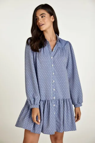 Besticktes Kleid im Denim-Stil mit Knöpfen