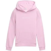 TOM TAILOR Sweatshirt Strick & Sweatshirts Hoodie Sweatshirt mit Logo-Print