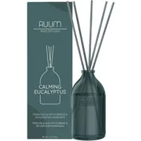 RUUM Raumduft Duftvase (Edler Raumduft, In Stilvoller Glasvase (80 ml)