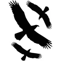 Hermann Schütz Aufkleber Aufkleber Kontur Vogel-Sortiment 3 Stück