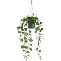 Kunstpflanze Bauhinia, Creativ green, Höhe 60 cm, mit detailgetreuen Blattranken