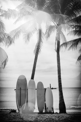 queence Acrylglasbild "Surfboards" Kunst  Palmen  Schwarz-Weiß  Strand  Strandbilder Fine Art-Print in Galeriequalität