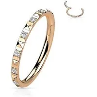 Taffstyle Nasenpiercing Septum Piercing Ring Segmentring Clicker Scharnier Kristalle Pave, Nasenpiercing Nasenring Ohrpiercing Ohr Nase Tragus Helix Brust Intim