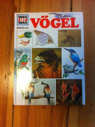 Vögel.