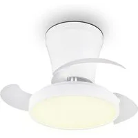 Reality Leuchten LED Deckenleuchte MOSS mit Ventilator, Deckenventilator mit ausklappbaren Flügeln 10W, CCT - über Fernbedienung, Dimmfunktion, Memoryfunktion, Timerfunktion, Ventilatorfunktion, getrennt schaltbar, LED fest integriert, Farbwechsler, 