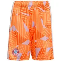 adidas Performance Trainingsshorts adidas Kinder FC Bayern München Torwartshort 2026/27