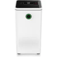 Brandson Luftentfeuchter mit Kompressor, 10L pro 24h, Dehumidifier Raumentfeuchter elektrisch, für 40 m³ Räume, Entfeuchtung 10 l/Tag, Tank 2,5 l, Timer, Defrosting, Sleep Modus/sehr leise für Schlafzimmer Bad Keller