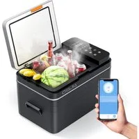oyajia Elektrische Kühlbox Kompressor Gefriertruhe mobiler Kühlschrank, Kühltruhe, Gefrierbox, 31 l, Mit APP Steuerung, 12/24 V und 100-240 V, -20°C bis 20°C, kalt & warm