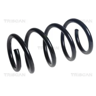 Triscan Feder vorne Citroen Fiat Peugeot 87501054