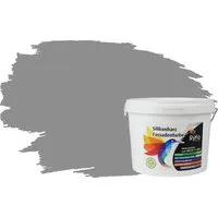 RyFo Colors Fassadenfarbe Silikonharz Fassadenfarbe Grautöne, 1 L ca. 6 m², Wasserabweisend, diffusionsfähig, schützt vor Schmutz, UV-beständig