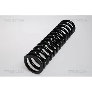Triscan Feder vorne Mercedes 124 E-Klasse 87502308