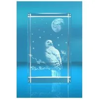 VIP-LASER Dekofigur 3D Glasquader Motiv: Eule, Hochwertige Geschenkbox, Made in Germany, Familienbetrieb
