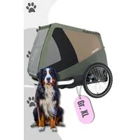 Croozer Fahrradhundeanhänger Dog Tammo für Hunde bis 45 kg, Fahrradanhänger für Hunde bis 45 kg