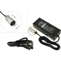 PowerSmart CP100L0702E.003 Batterie-Ladegerät (24V Adapter für E-Bike, CP100L0702, 100-240 V (Eingang) (29,40V Ausgang, 3-PIN XLR)