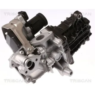 Triscan AGR-Ventil Citroen DS Ford Opel Peugeot