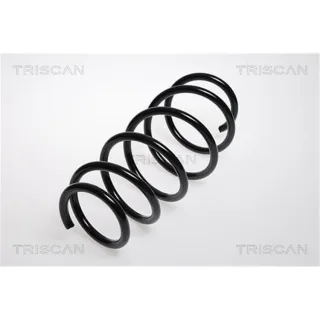 Triscan Feder vorne Opel Astra H 875024050