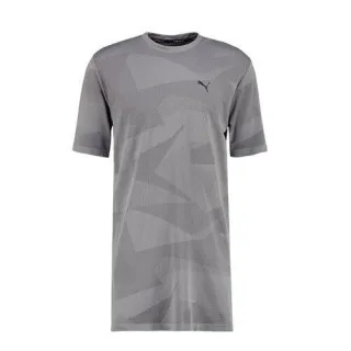 Puma Evo Strickbild Tee Grafik graue Herren Langzeitstil T-Shirt Top 572454 04 A6d