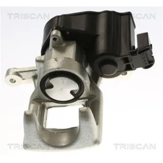 Triscan Bremssattel hinten links Citroen C4 Peugeot 3008 308 5008 817528235