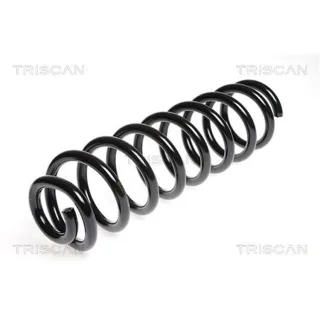 Triscan Feder vorne Mercedes M-Klasse R-Klasse 875023114