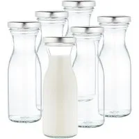 MamboCat Vorratsglas 6er Set Weithalsflasche Karaffe 250 ml + To 53 Deckel silber, Glas
