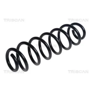 Triscan Feder hinten Seat Ateca Skoda Karoq VW T-Roc