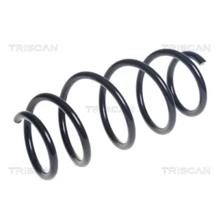 Triscan Feder vorne Ford Fiesta 6 875016117