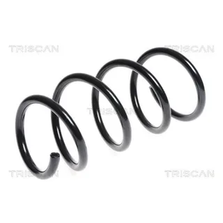 Triscan Feder vorne Renault Kangoo 87502587
