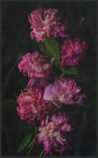 Fussmatte 7185 | Größe: 60 cm x 90 cm