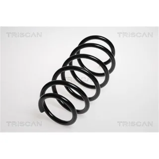 Triscan Feder vorne Opel Astra H 875024131