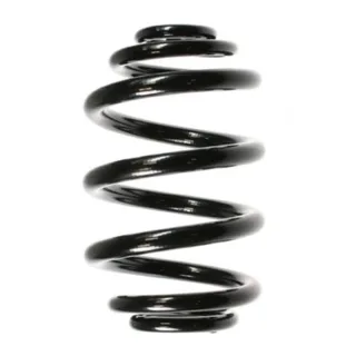 Spidan Fahrwerkfeder hinten BMW 3er E46 Cabriolet + Touring