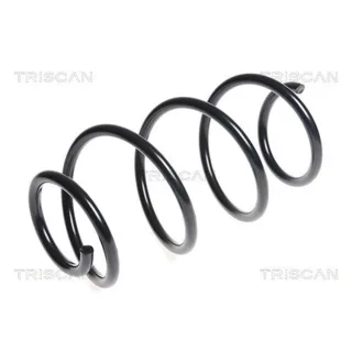 Triscan Feder vorne Hyundai I30 1,6 87504387