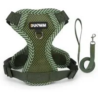 Eyecatcher Hunde-Geschirr Verstellbares Hunde-Geschirr-Set aus atmungsaktivem Mesh mit Leine (4