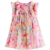 Next Tüllkleid Kleid mit Rüschenschultern und Mesh (1-tlg)