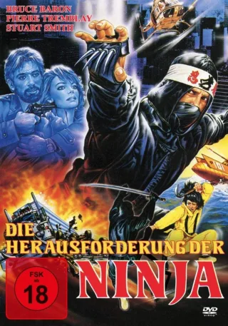 Die Herausforderung der Ninja [DVD]