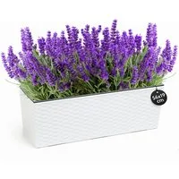 KONZEPT Balkonkasten Hochwertige Blumenkasten Rattan-Optikin, rechteckig 56 x 19 cm, Balkonkasten ideal fur Balkon, Terrasse, Fensterbank