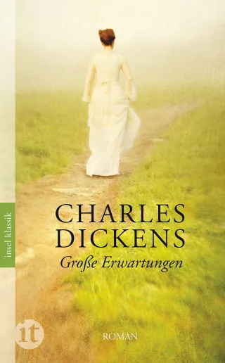 Große Erwartungen: Roman (insel taschenbuch)