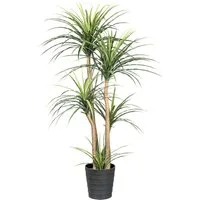 Kunstpflanze Dracaena Agave, Creativ green, Höhe 160 cm, auf 5 Stämmen