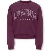 KIDS ONLY Sweatshirt KOGSWEAT LS CREW OVZ STAT SWT