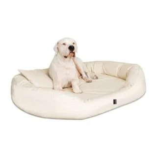 Tierlando ® Orthopädisches Hundebett SAMMY | Robuster Polyester | Dicke Umrandung creme 1,7 m, 35 cm, 1,1 m