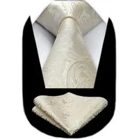 LuxusKollektion Krawatte Krawatten Herren Hochzeit Paisley Einstecktuch Einheitsgröße H-beige-1