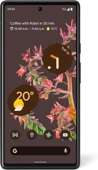 Google Pixel 6 128GB [Single-Sim] stormy black