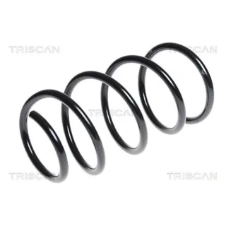 Triscan Feder vorne BMW 5er E60 875011129
